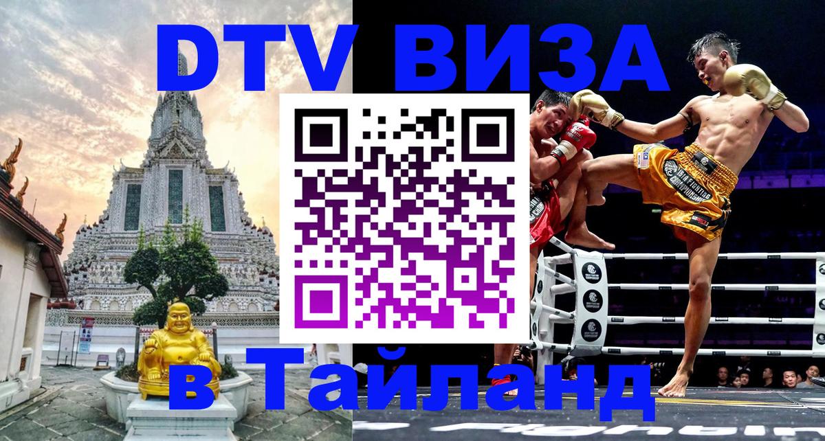 Сколько стоит DTV виза — актуальные цены, оформление даже без документов - Бишкек  18.11.2025 